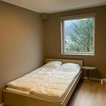 Appartement Nyoppusset Og Stor Leilighet Med 4 Soverom. Bergen
