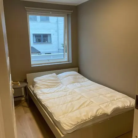 Nyoppusset Og Stor Leilighet Med 4 Soverom. Appartement Bergen