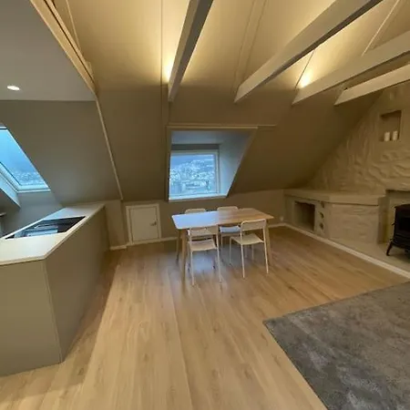 Nyoppusset Og Stor Leilighet Med 4 Soverom. Appartement