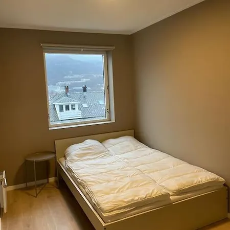 Appartement Nyoppusset Og Stor Leilighet Med 4 Soverom. *