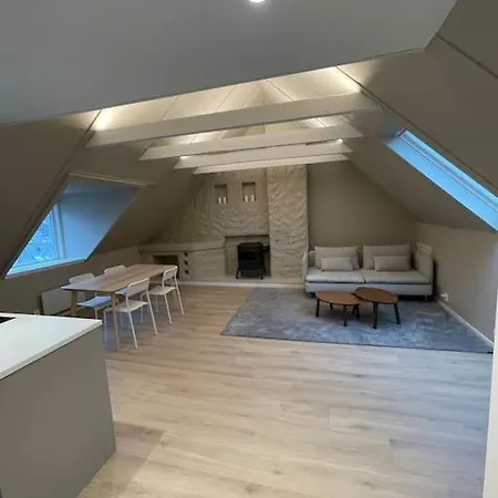Nyoppusset Og Stor Leilighet Med 4 Soverom. * Bergen